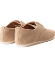 Talbot Oxford Shoe - Sand Janus Calf Suede