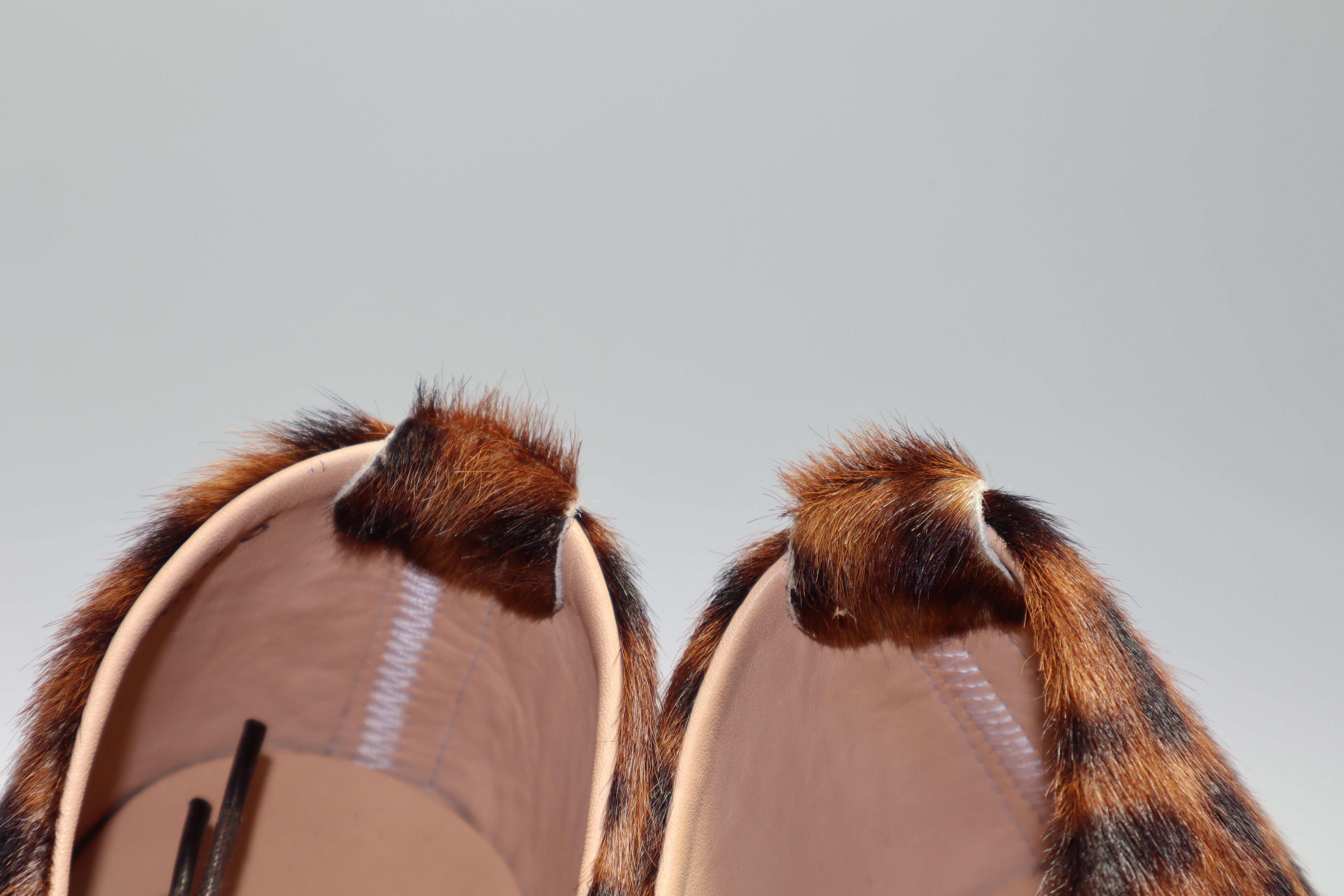 Regent Wholecut Shoe - Leopard - SRE4 40